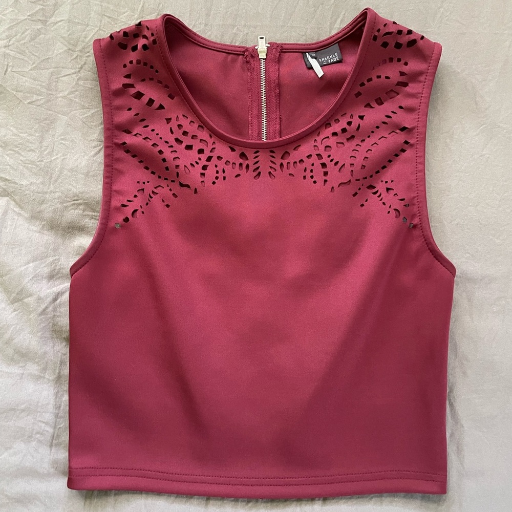 Sparkle + Fade Zipper Back Crop Top